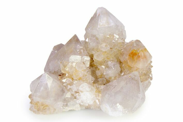 Lustrous Cactus Quartz Crystal Cluster - South Africa #336761